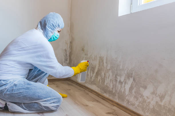 Licensed Commercial Mold Remediation service in Kalamazoo, MI - WQB Mold Removal