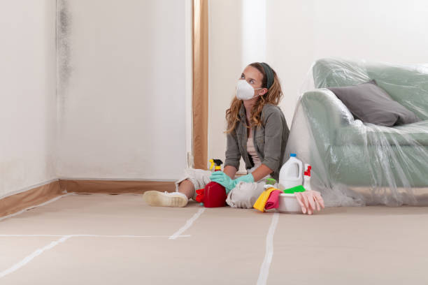 Reliable Commercial Mold Remediation contractor in Kalamazoo, MI by WQB Mold Removal